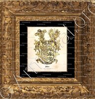 cadre-ancien-or-ALBER_Ritter von Glaustätten. Triest._Kärnten (Österreich Italien) (1)