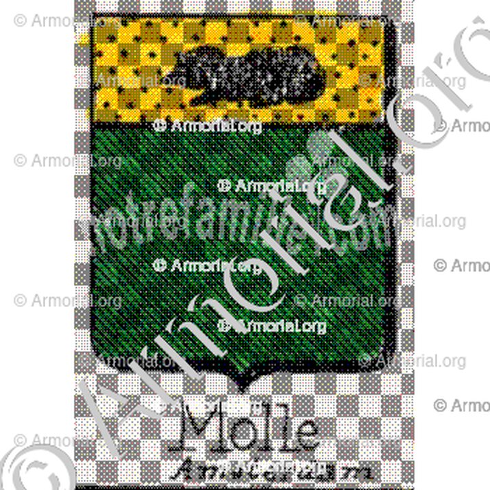 Molle__