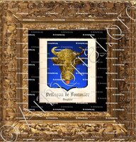 cadre-ancien-or-PELLISSON de FONTANIER_Dauphiné._France (1)