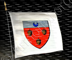 drapeau-de LOCHE alias OCHIA_Ancien Duché de Savoie_États de Savoie