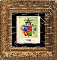 cadre-ancien-or-AMEIL_Baron de l'Empire._France