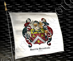 drapeau-BAERT de BERENTRODE_Malines_France.