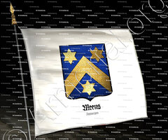 drapeau-MEEUS_Antwerpen_Belgique (3)