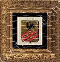 cadre-ancien-or-PLOTTI_Sicilia._Italia ()