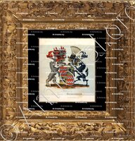 cadre-ancien-or-Van QUADT HUCHTENBRUCK_Wapenboek van den Nederlandschen Adel door J.B.Rietstap 1883 1887_Nederland
