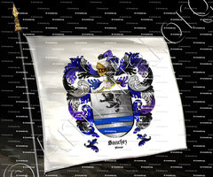 drapeau-SANCHEZ_Andalucia, Malaga_España (ii)