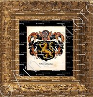 cadre-ancien-or-NIEDHEIMER de WASENBOURG (Alsace)_Blason enregistré sous le règne de Louis XIV_France (1)