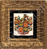 cadre-ancien-or-BENOIST de VIEILCASTEL_Île-de-France_France (1)