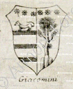GIACOMINI