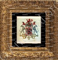 cadre-ancien-or-van RANDWIJCK_Wapenboek van den Nederlandschen Adel door J.B.Rietstap 1883 1887_Nederland