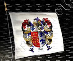 drapeau-VILA_Castilla y León._España (1)