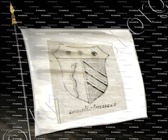drapeau-GUGLIELMUCCI_Provincia di Potenza. Acerenua._Italia