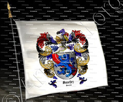 drapeau-SANCHEZ_Asturias, Oviedo_España (ii)