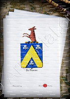 velin-d-Arches-DE BISEAU_Armorial royal des Pays-Bas_Europe