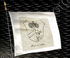 drapeau-MARTINANI_Provincia di Potenza. Acerenua._Italia