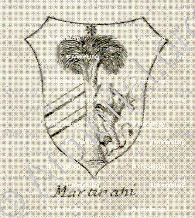 MARTINANI_Provincia di Potenza. Acerenua._Italia