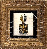 cadre-ancien-or-DE BLONDEL D'OUDENHOVE_Armorial royal des Pays-Bas_Europe