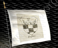 drapeau-SEGNI_Provincia di Potenza._Italia