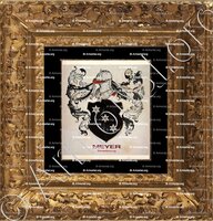 cadre-ancien-or-MEYER_Stasbourg. (Armorial Daniel Sandoz, 1996)._France (ii)