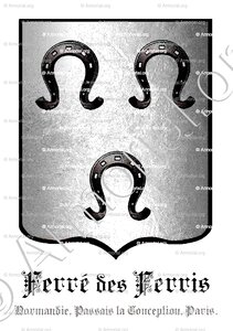 FERRÉ DES FERRIS