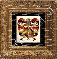 cadre-ancien-or-de WAZIERES_Tournaisis. Comté de Flandre. Famille noble en 1623 et 1670._France Belgique ..
