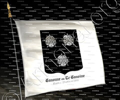 drapeau-CANONNE ou LE CANOINE_Flandre (anoblie en 1505)._France