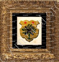 cadre-ancien-or-BAGARD_Ancien Duché de Savoie (Cte de Foras, 1863)_États de Savoie