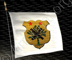 drapeau-BAGARD_Ancien Duché de Savoie (Cte de Foras, 1863)_États de Savoie