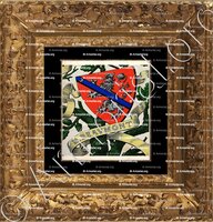cadre-ancien-or-de MENTHON BEAUMONT_Armorial et Nobiliaire de Savoie. (Cte de Foras)_France