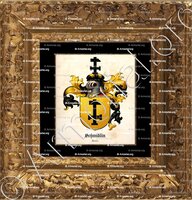 cadre-ancien-or-SCHMIDLIN_Wappenbuch der Stadt Basel. B.Meyer Knaus 1880._ Schweiz (1)+