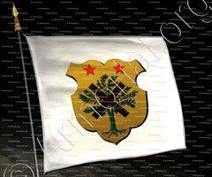 drapeau-BAGARS_Ancien Duché de Savoie (Cte de Foras, 1863)_États de Savoie