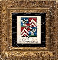 cadre-ancien-or-POURTALÈS_Comtes. Neuchâtel, France, Bôhème._Suisse France Deutschland