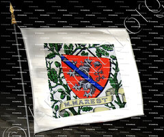 drapeau-de MENTHON MAREST_Armorial et Nobiliaire de Savoie. (Cte de Foras)_France