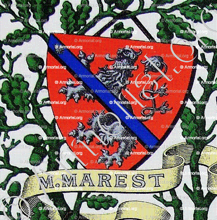 de MENTHON MAREST_Armorial et Nobiliaire de Savoie. (Cte de Foras)_France
