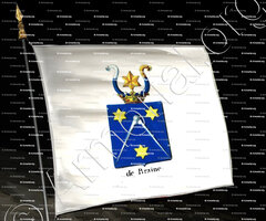drapeau-DE BRAINE_Armorial royal des Pays-Bas_Europe