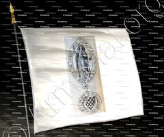 drapeau-de BLOIS AVESNE_Blaisois, Champagne (Alice de Blois Avesne)_France