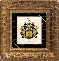 cadre-ancien-or-MERIAN_Wappenbuch der Stadt Basel . B.Meyer Knaus 1880._Schweiz.  (1)