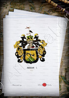 velin-d-Arches-MERIAN_Wappenbuch der Stadt Basel . B.Meyer Knaus 1880._Schweiz.  (1)