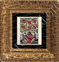 cadre-ancien-or-de MENTHON MENTHON_Armorial et Nobiliaire de Savoie. (Cte de Foras)_France 