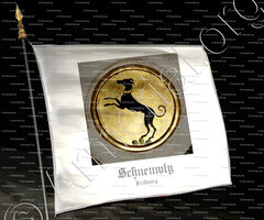 drapeau-SCHNEUWLY_Fribourg (Freiburg)._Suisse Schweiz