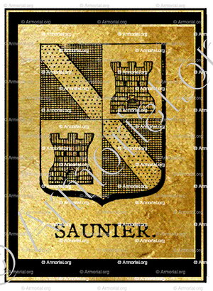 SAUNIER_Nobiliaire d'Auvergne_France (i)