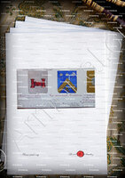velin-d-Arches-CHATEAUNEUF_Armorial Nice. (J. Casal, 1902) (Bibl. mun. de Nice)_France (i)
