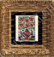 cadre-ancien-or-de MENTHON_Armorial et Nobiliaire de Savoie. (Cte de Foras)_France 