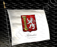 drapeau-THIBAUDEAU_Empire français_France