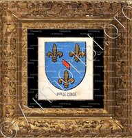 cadre-ancien-or-Princes de CONDÉ_Bourbonnais_France (ii)