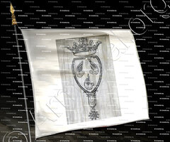 drapeau-CARBUCCIA__Bastia.  Corse ()