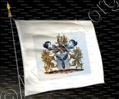 drapeau-OLDENZEEL_Wapenboek van den Nederlandschen Adel door J.B.Rietstap 1883 1887_Nederland