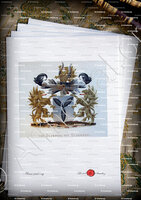 velin-d-Arches-OLDENZEEL_Wapenboek van den Nederlandschen Adel door J.B.Rietstap 1883 1887_Nederland