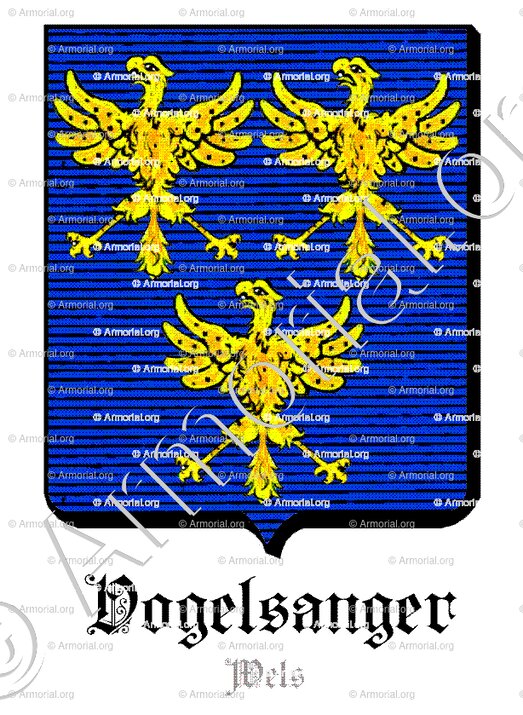 VOGELSANGER_Wels (Oberösterreich)_Österreich (3)