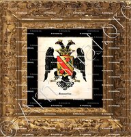 cadre-ancien-or-SAMMARTINO_Il blason in Sicilia. V. Palizzolo Gravina, 1870-75_Italia (2)